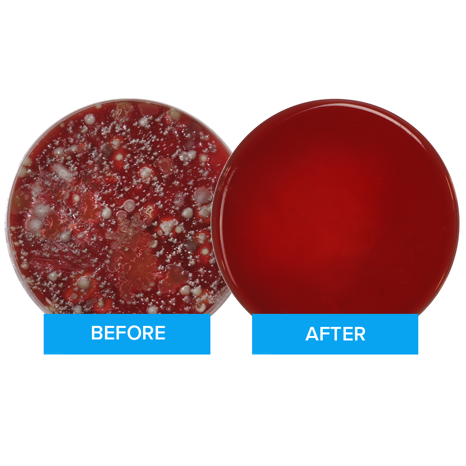 How Germy Is My Phone? PhoneSoap