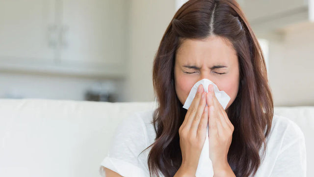 🌿 How to Protect Yourself from Spring Allergies: The Power of Clean Air