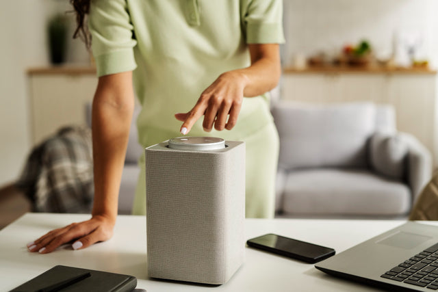 How To Reset Levoit Air Purifier