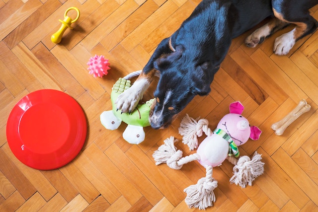 How To Sanitize Dog Toys