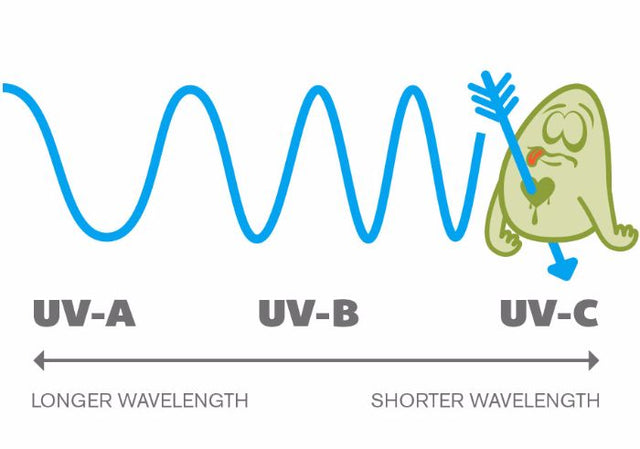 Why UV-C Lights?