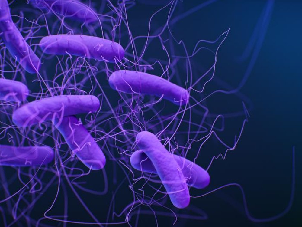 C. difficile