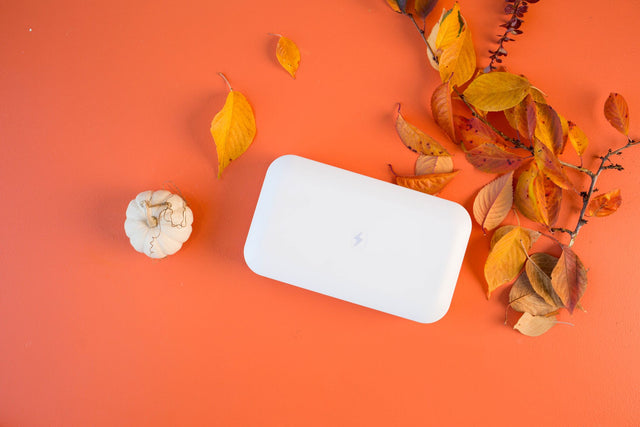 Turn a New Leaf with PhoneSoap