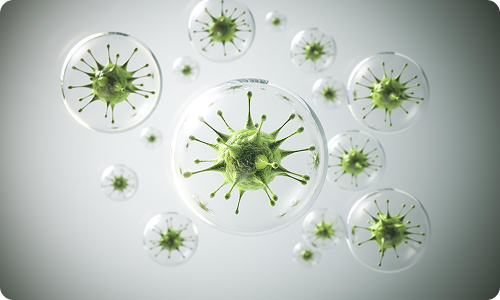 Can UVC Light Kill Hantavirus?