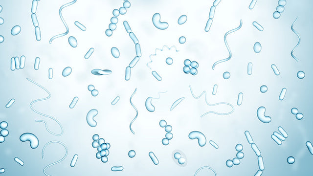 Mold in Baby Bottles: How It Happens, Why It's Dangerous and How to Prevent It