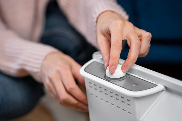 How To Purify Air In House