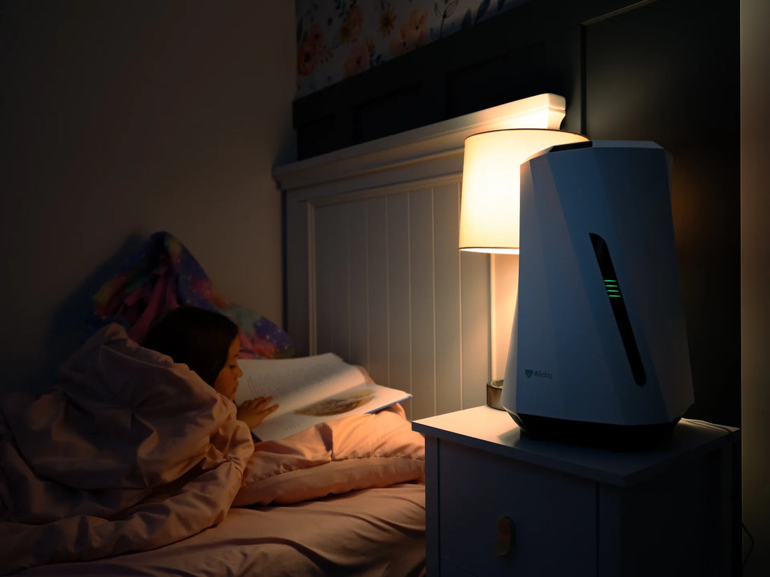 AirSoap H2O humidifier in a home setting
