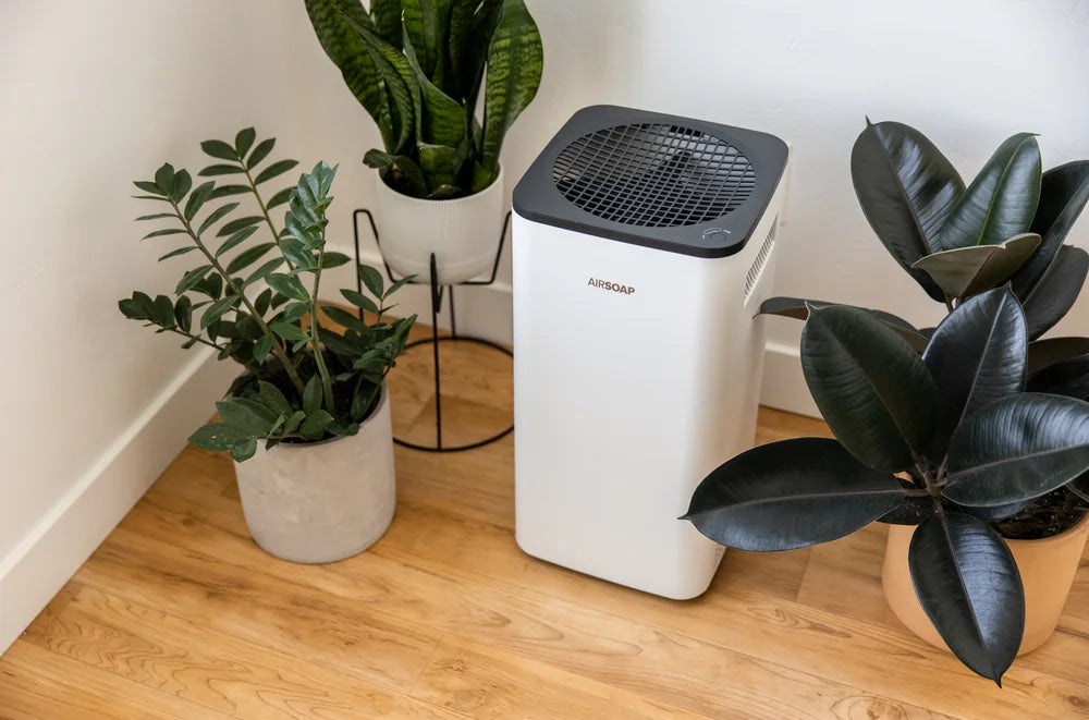 AirSoap purifier among houseplants
